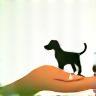 Accompagnement adoption d’animaux