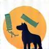 Toilettage professionnel pour animaux